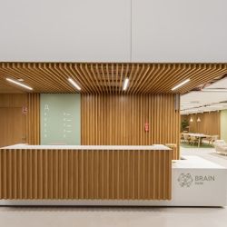 brain park 4